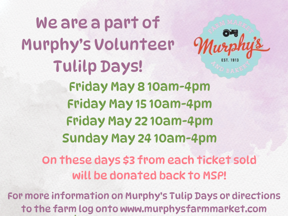 Murphy's Tulip Days