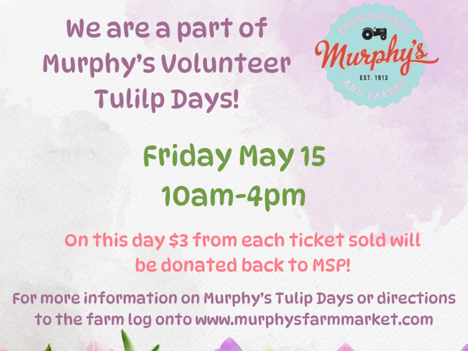 Murphy's Tulip Days