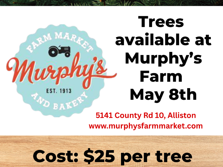 Trees for Shelter trees available May 8th