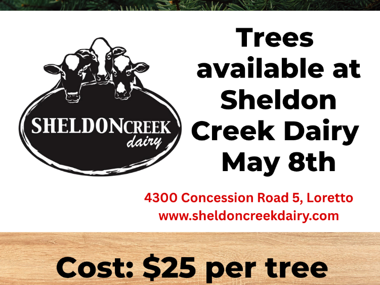 Trees for Shelter trees available May 8th